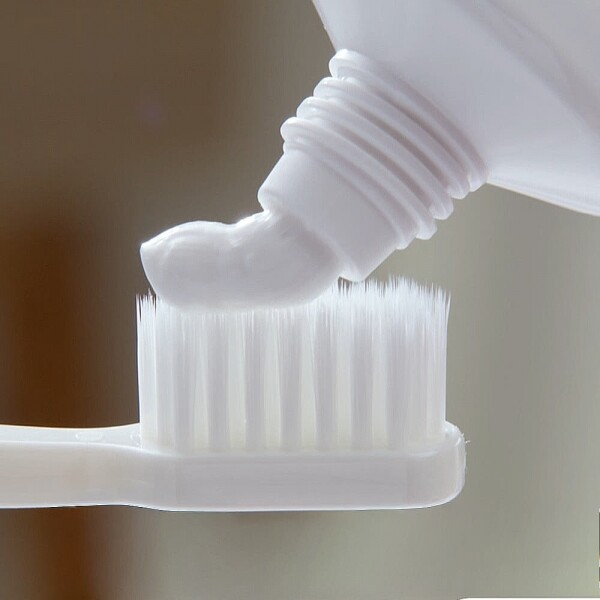 STAR PLANET SHOP,[100%] 잇몸쎈 프로폴리 치약 네오 호주산 프로폴리스 잇몸 치주 치약 12개